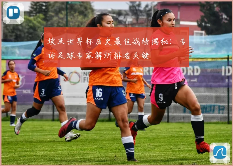 埃及世界杯历史最佳战绩揭秘：专访足球专家解析排名关键