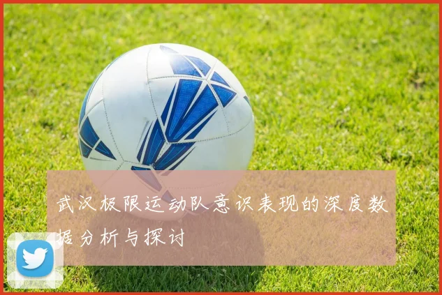 武汉极限运动队意识表现的深度数据分析与探讨