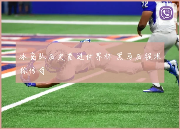冰岛队历史首进世界杯 黑马历程堪称传奇